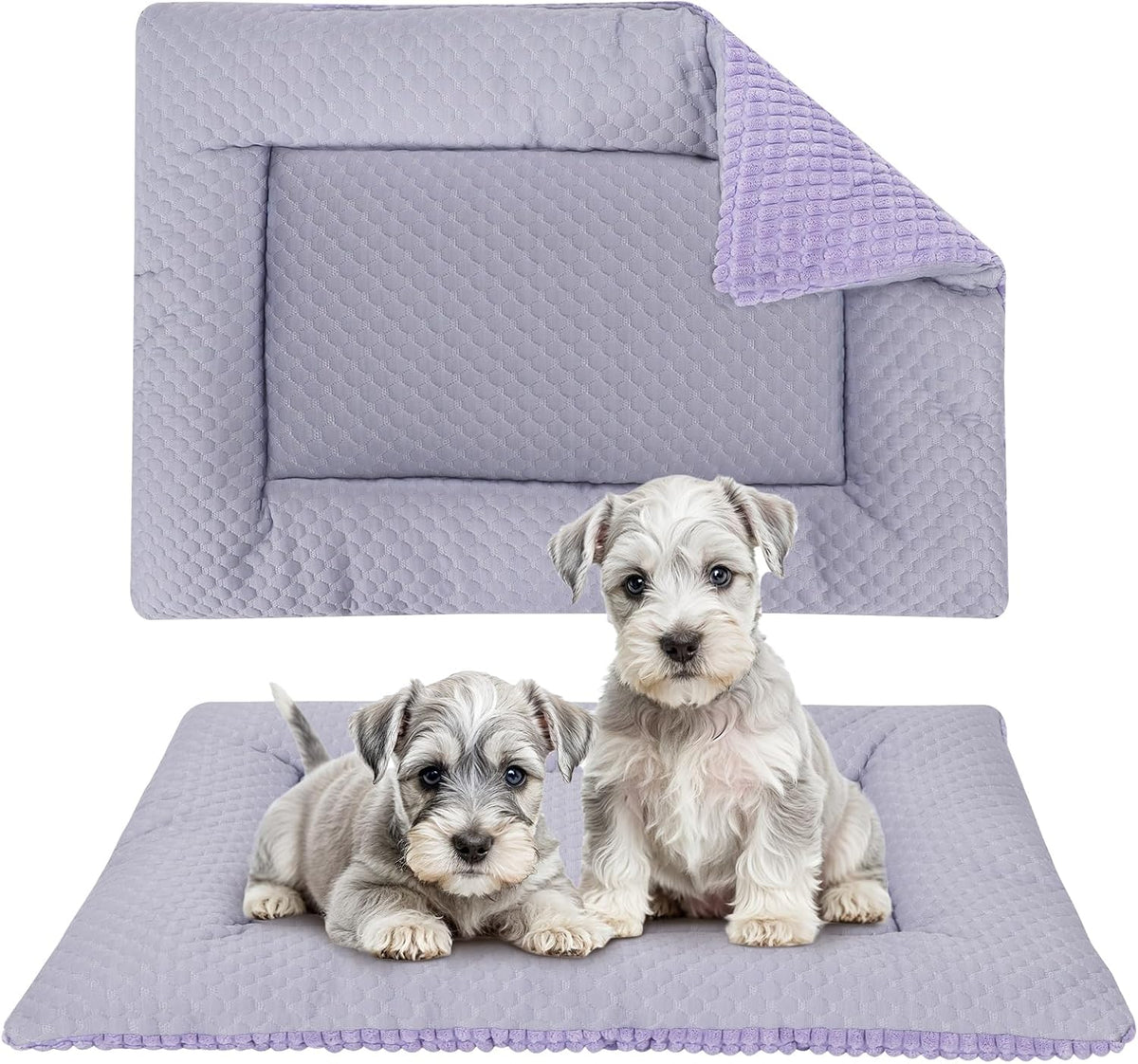 Dog Bed Mat, Crate Pad Reversible,Soft Kennel Washable Crate Mat (Cool and Warm),Pet Sleeping Mattress for Small Medium Dogs XB009 (18''x13'',Corn Velvet Purple)