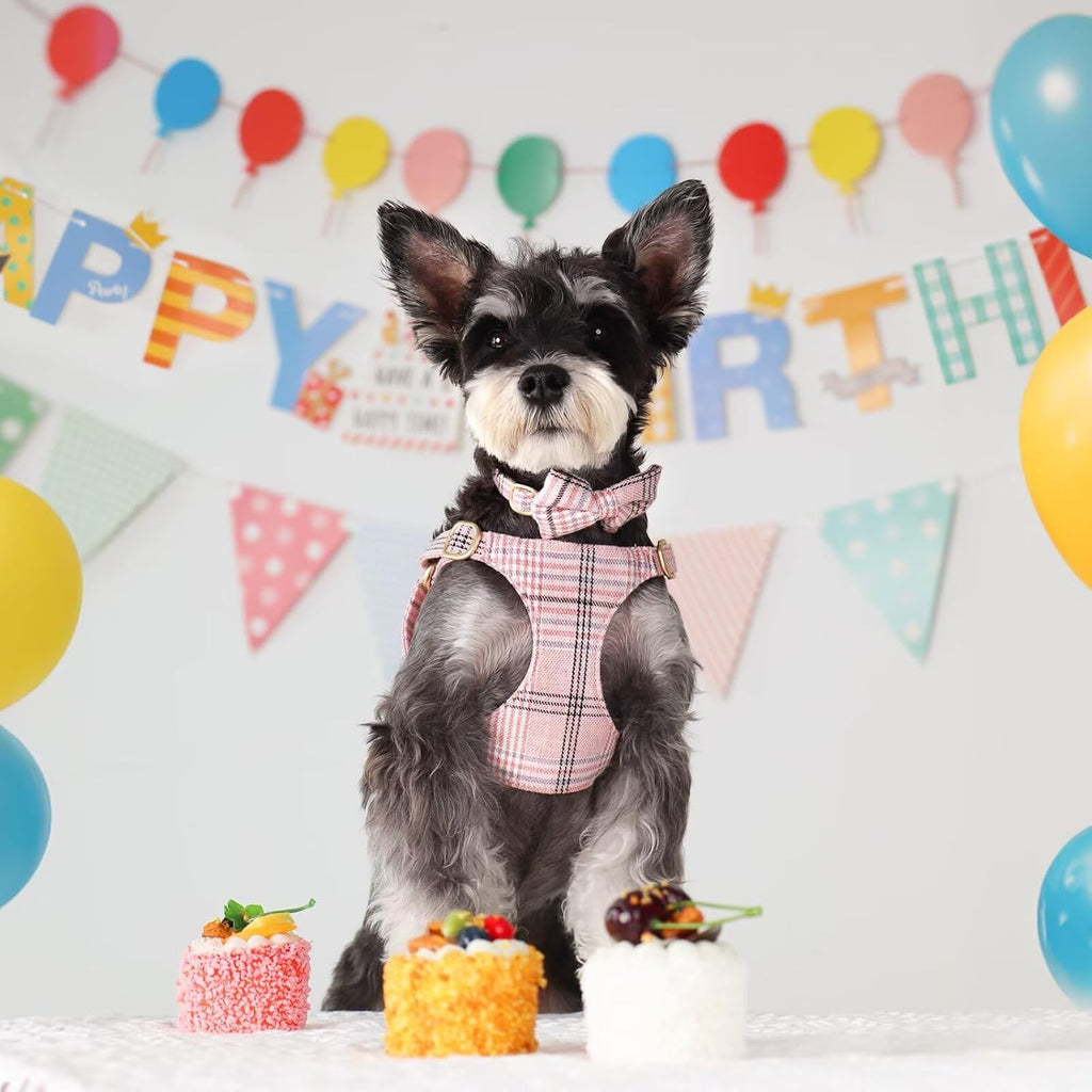 Beirui Cute Small Dog Harness and Leash Set Bowtie, Pink,S,Chest 17-23"