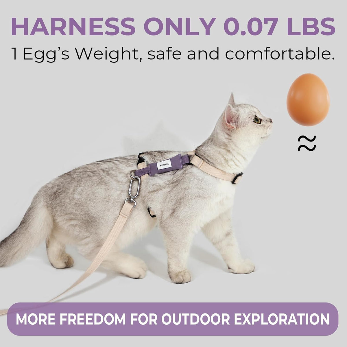 Cat Harness and Leash Set - White Lightweight Soft Kitten Harness Escape Proof, Adjustable Travel Pet Harness for Walking，Easy Control Comfortable Outdoor (White, One Size Fits All)