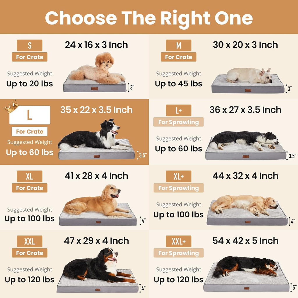OhGeni Orthopedic M-L Dog Bed, Reversible Memory Foam,35 inch(Gray)