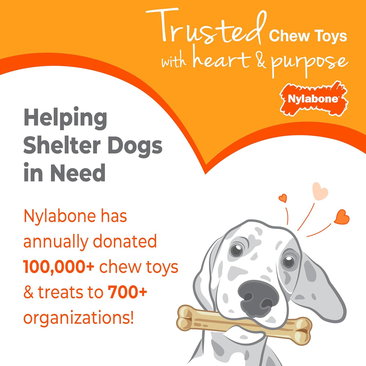 Nylabone Puppy Chew Teething Keys Dog Chew Toy, Bacon Flavor, Medium | Soothing teething toys for puppies, cute puppy essentials, puppy enrichment & teething relief, dogs up to 35 lbs