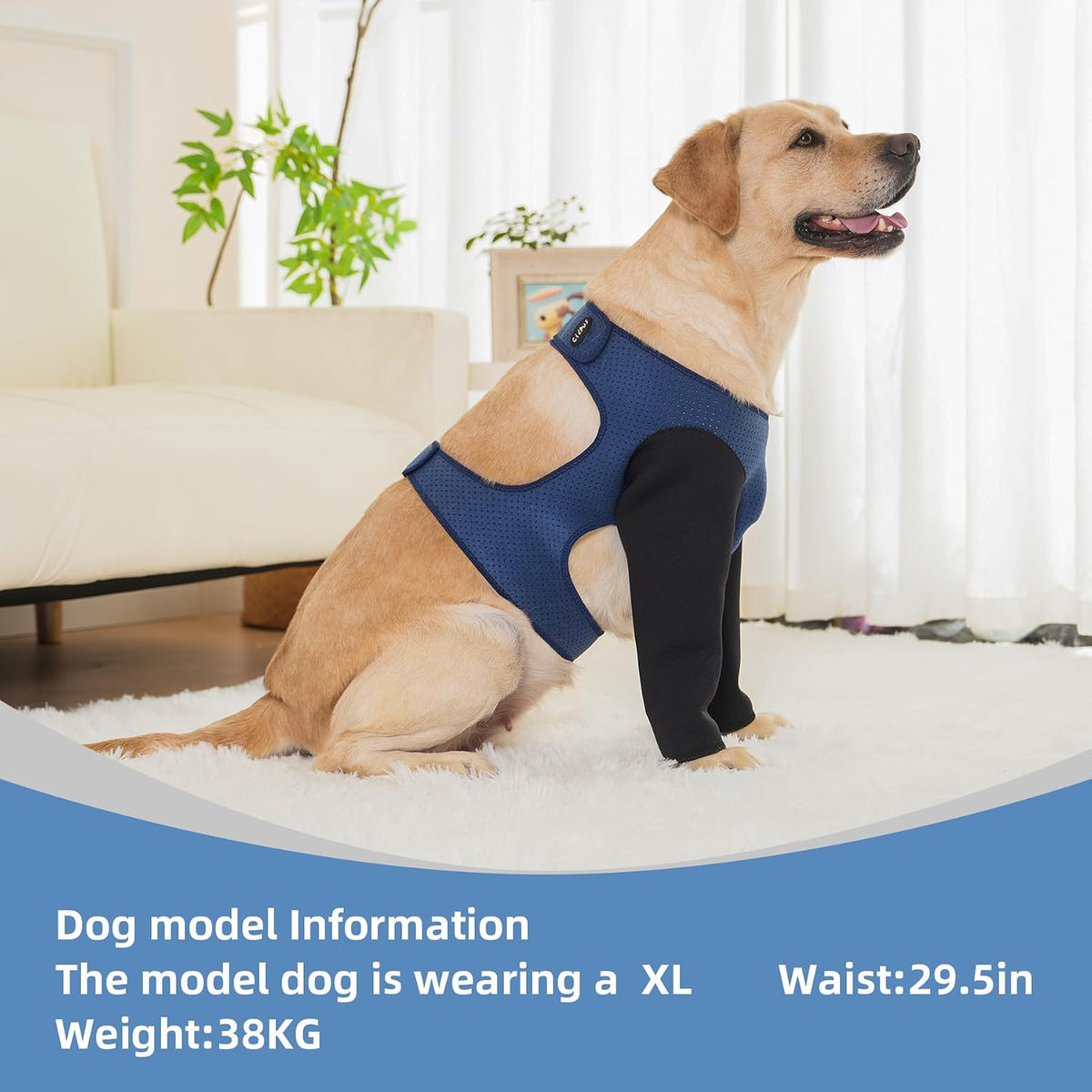 Dog Sleeves for Wounds Both Front Legs，Cone Collar Alternative, Abrasion Resistant Dog Recovery Sleeve, Washable 2.5mm Thick and Bouncy, Breathable Pet Wounds Prevent Licking (Medium)