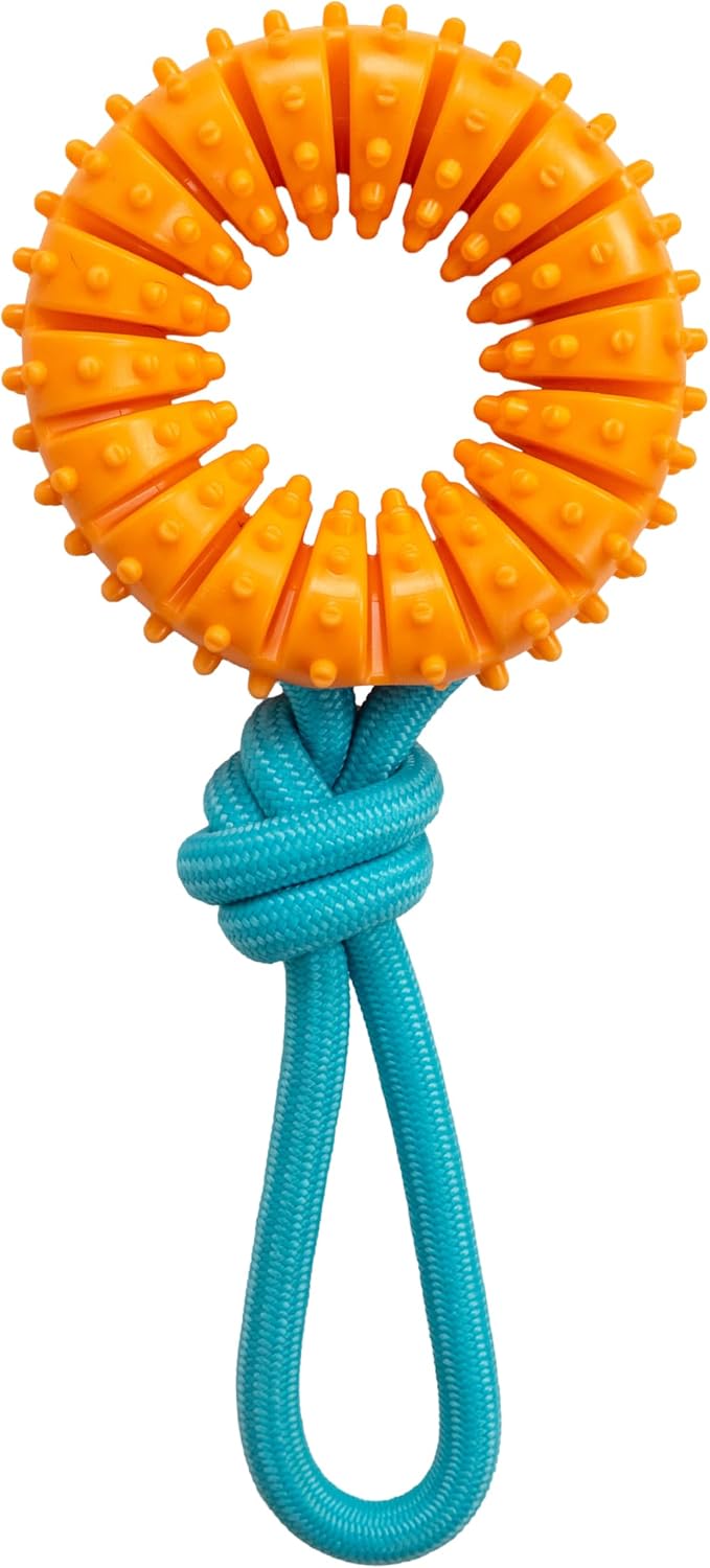 Dental Chew Wheel Durable Dog Toy, Tug & Chew, Mint Scent, 9.6" | Helps Keep Teeth Clean, Massages Gums, Rope & Textured Ring, Interactive Toss & Fetch, Moderate Chewers, Medium-Large Dogs
