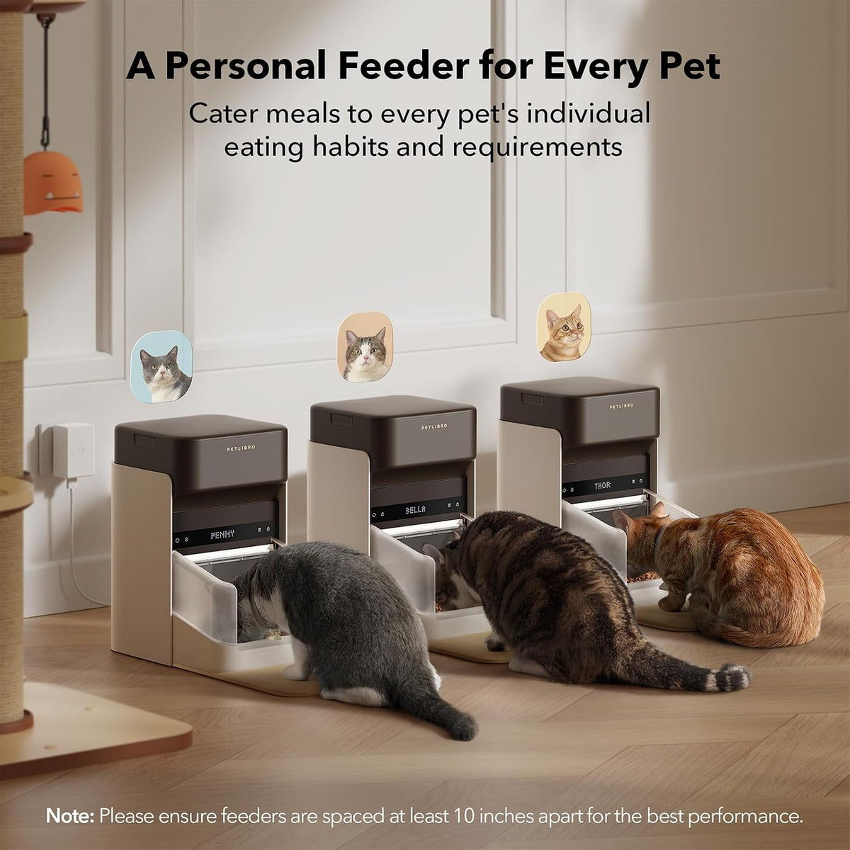 Bundle of PETLIBRO Upgraded RFID Automatic Cat Feeder, 2 Packs 5G Wi-Fi Automatic Pet Feeder, 3L Auto Cat Feeder App Control with Light Collar Tag + PETLIBRO 6 Packs Pet Food Desiccant Bag