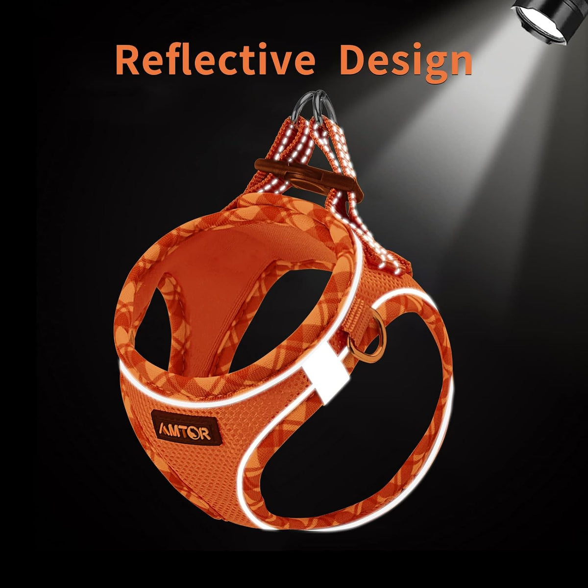 AMTOR Small Dog Harness with Leash Set, No Escape Easy Walk Puppy Harnesses for Training Walking, Step-in Reflective Soft Dogs Vest for XS S Medium Extra-Small Large Sized Dog(Orange/White,XXS)