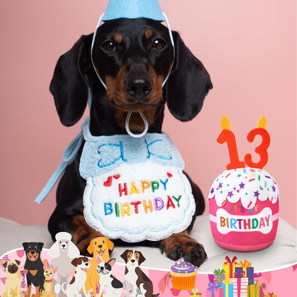 Dansydaisy Dog Birthday Cake Toy Squeaky Plush Gift,13th,Pink | Interactive Squeaky Gift for Dogs, Dog Birthday Decor , Soft Chew for Small Medium Large Pets, Cake Design with Candle