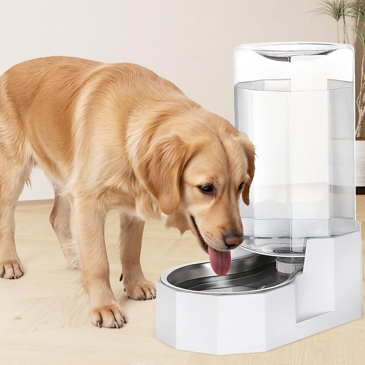 Sfozstra 8L Gravity Dog Water Dispenser:Stainless Steel Bowl