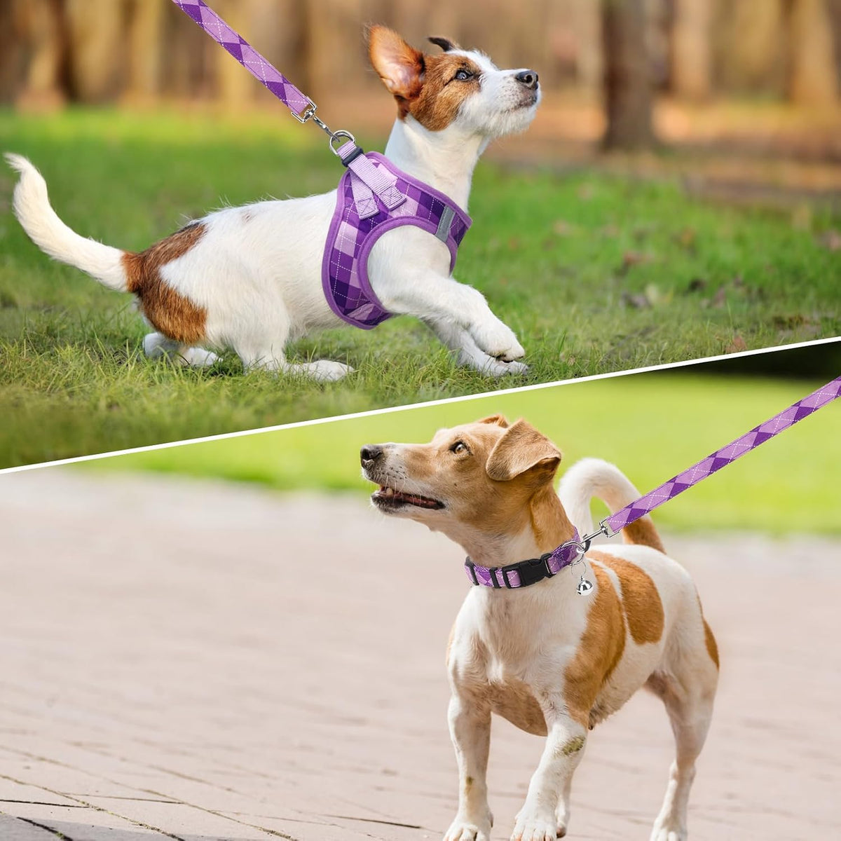 SCENEREAL Small Dog Harness Collar and Leash Set, No Pull Puppy Harness