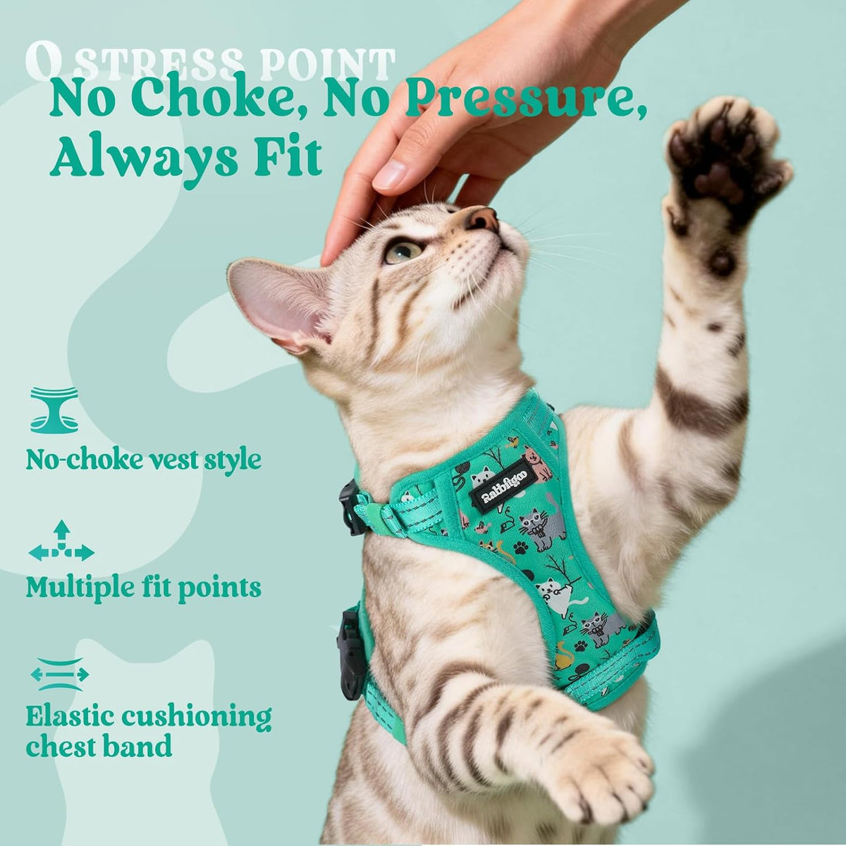 rabbitgoo Cat Harness and Leash Set, Easy-on with Neck Buckle, Kitty Grove
