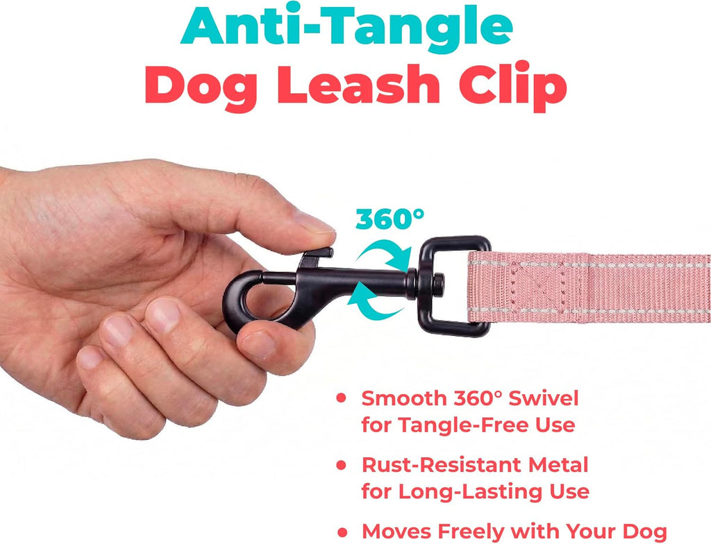 Best Pet Supplies Voyager Nylon Dog Leash - Pink, Large