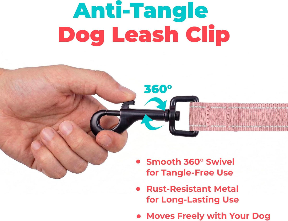 Best Pet Supplies Voyager Nylon Dog Leash - Pink, Large