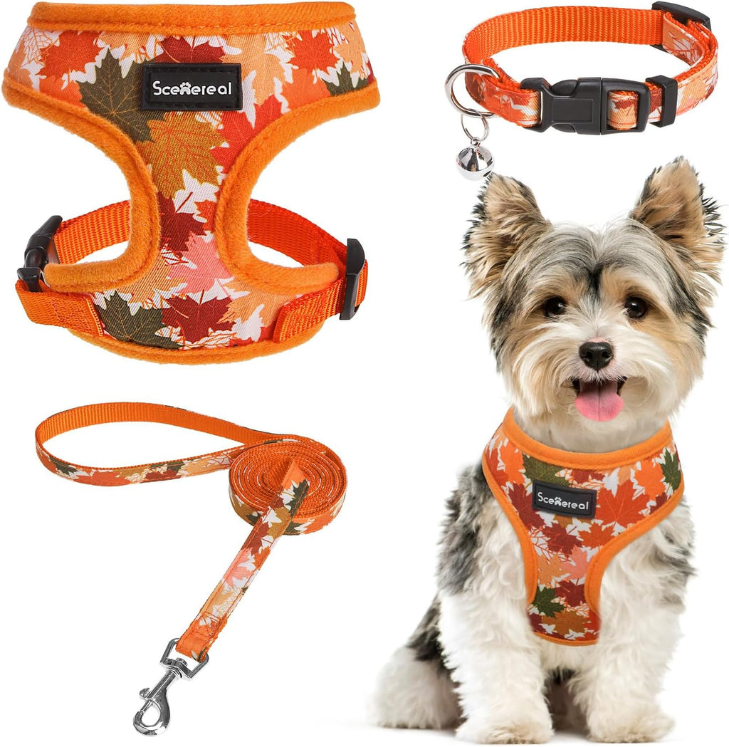 SCENEREAL Fall Dog Harness and Leash Set for Small Dogs