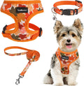 SCENEREAL Fall Dog Harness and Leash Set for Small Dogs