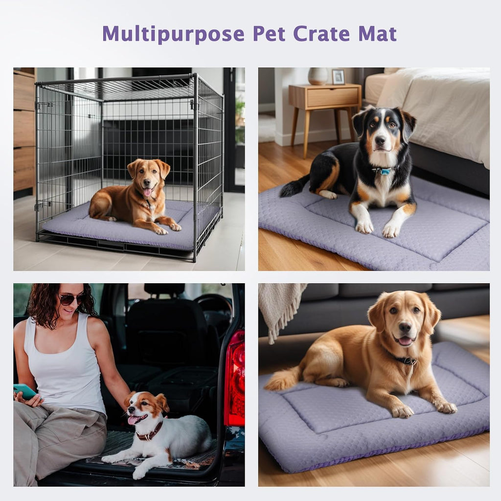 Dog Bed Mat, Crate Pad Reversible,Soft Kennel Washable Crate Mat (Cool and Warm),Pet Sleeping Mattress for Small Medium Dogs XB009 (18''x13'',Corn Velvet Purple)