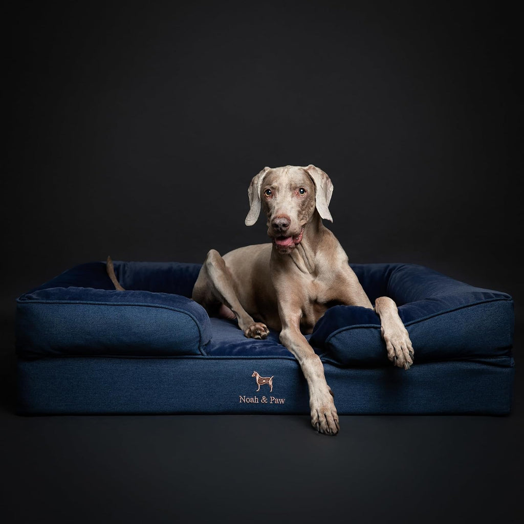 NOAH & PAW Large Dog Bed, Orthopedic Memory Cooling Foam (2X Base) 45x35x11