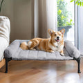 Veehoo Elevated Dog Beds Medium Sized Dog with Fluffy Plush Bolster Cushion