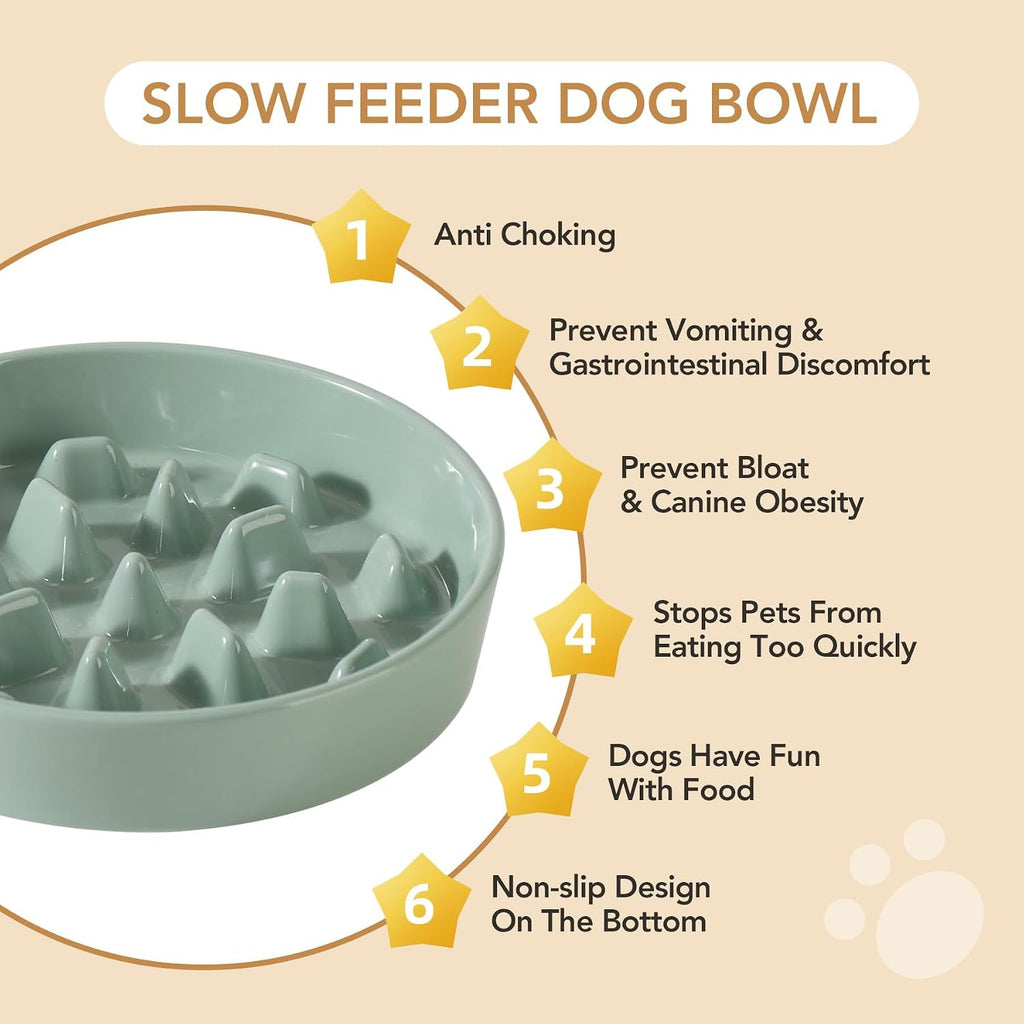 Havniva Ceramic Slow Feeder Dog Bowls, 9.5 in Slow Feeder for Large Breed