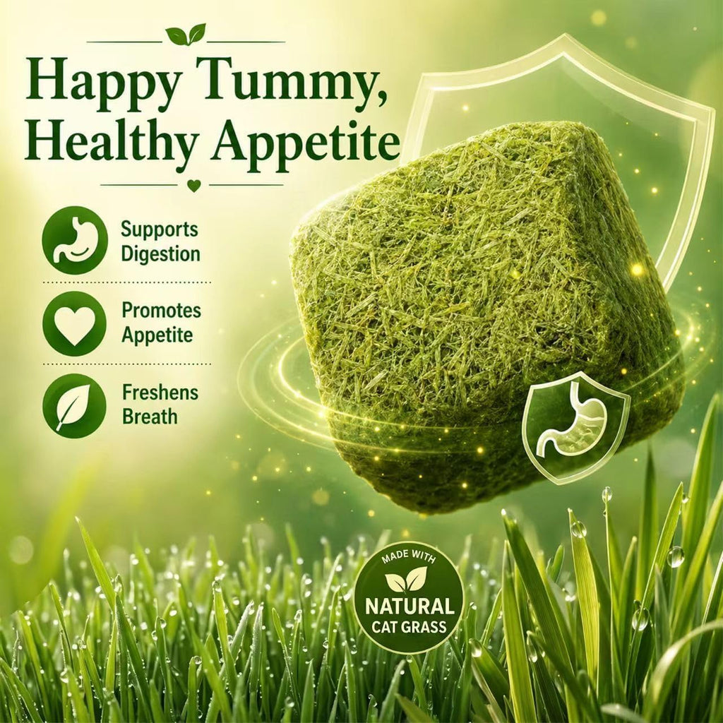 Cat Grass Treats for Indoor Cats, Natural Hairball Control Snacks with Catnip, Healthy Chewable Grass Pellets for Digestive Support