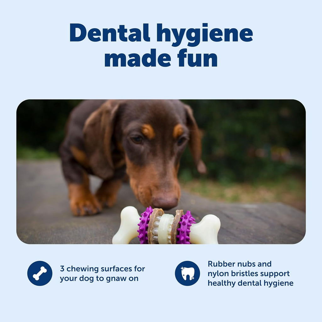 PetSafe Busy Buddy Bristle Bone, Large, Helps Keep Your Dog's Teeth Clean, Long-Lasting Playtime