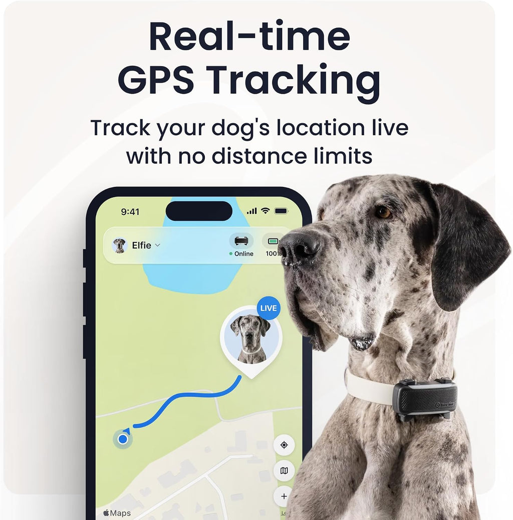Tractive XL Smart Dog GPS Tracker | Live Pet Tracker with Virtual Fence | Vital Signs Monitoring of Heart & Respiratory Rate | Up to 6-Weeks Battery Life | Dog Collar Attachment (Brown)