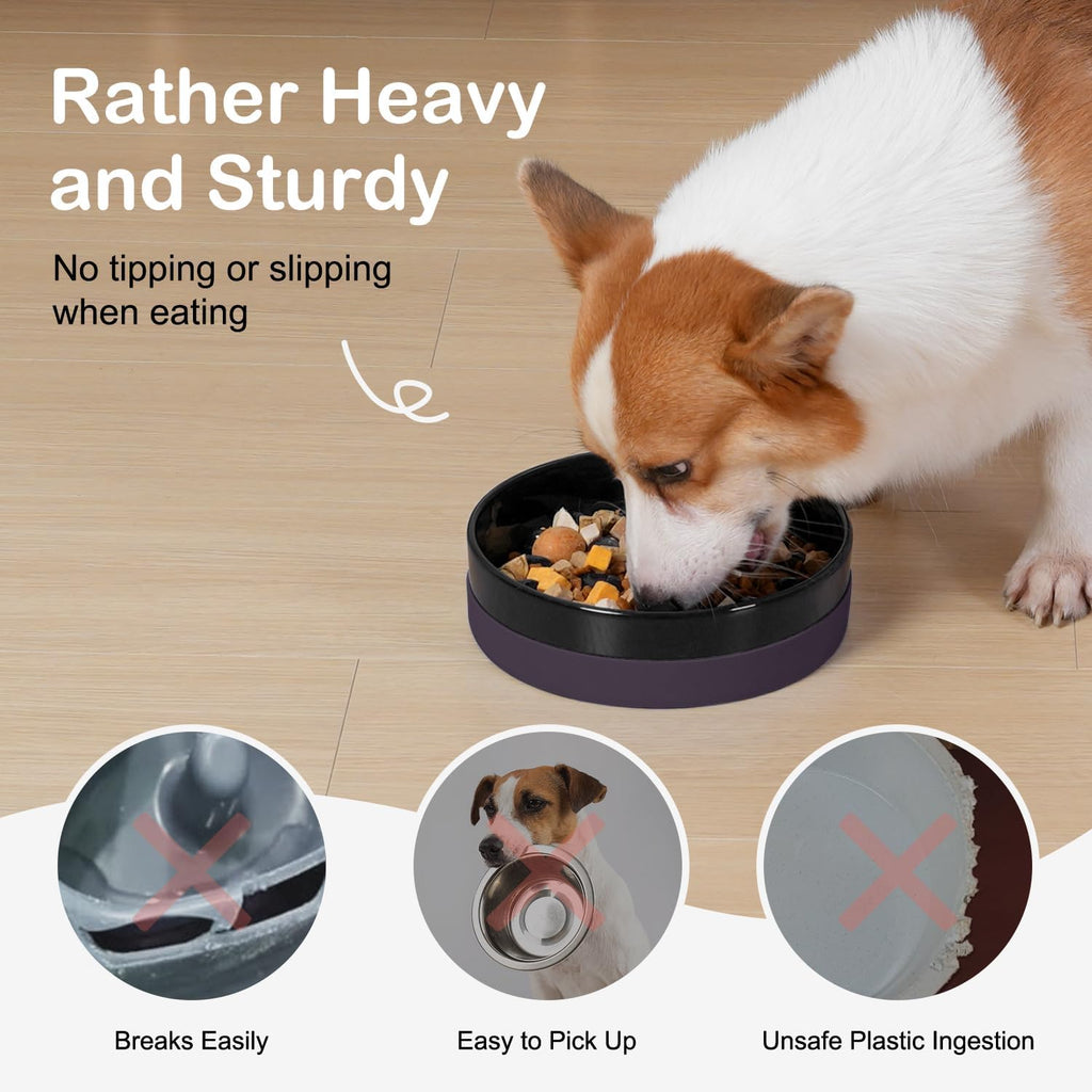 Sted Ceramic Slow Feeder Dog Bowls with Silicone Base