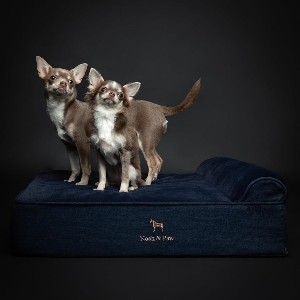 NOAH & PAW Medium Dog Bed Orthopedic Memory Foam Cooling Gel 28x23x7.5 in