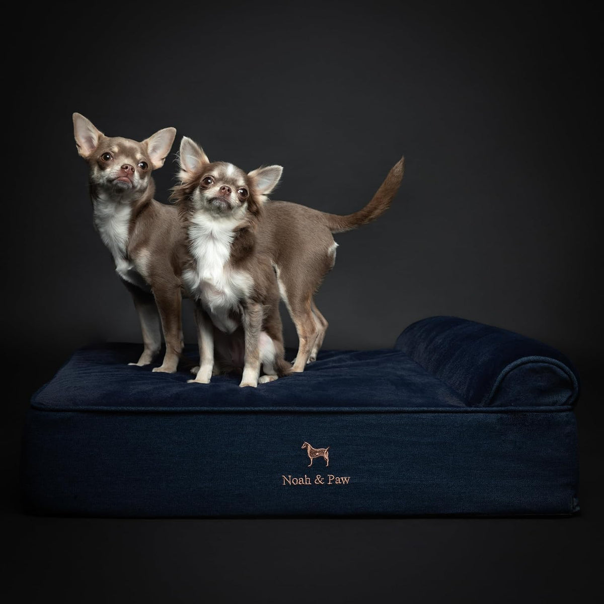 NOAH & PAW Medium Dog Bed Orthopedic Memory Foam Cooling Gel 28x23x7.5 in