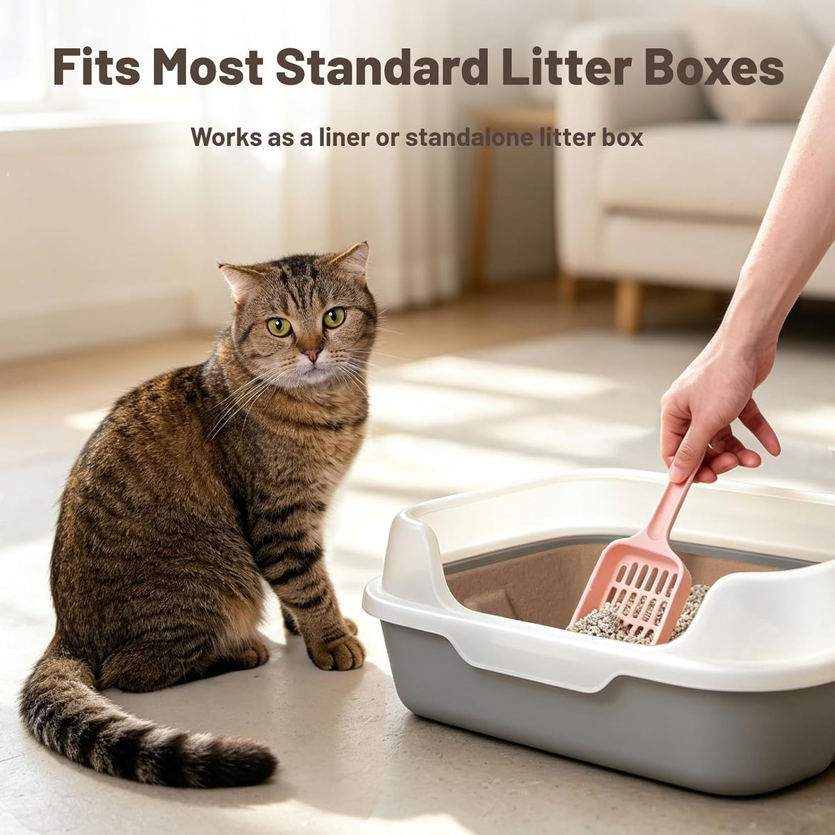 10 Pack Disposable Cat Litter Boxes, Leak-Proof Cardboard Litter Trays