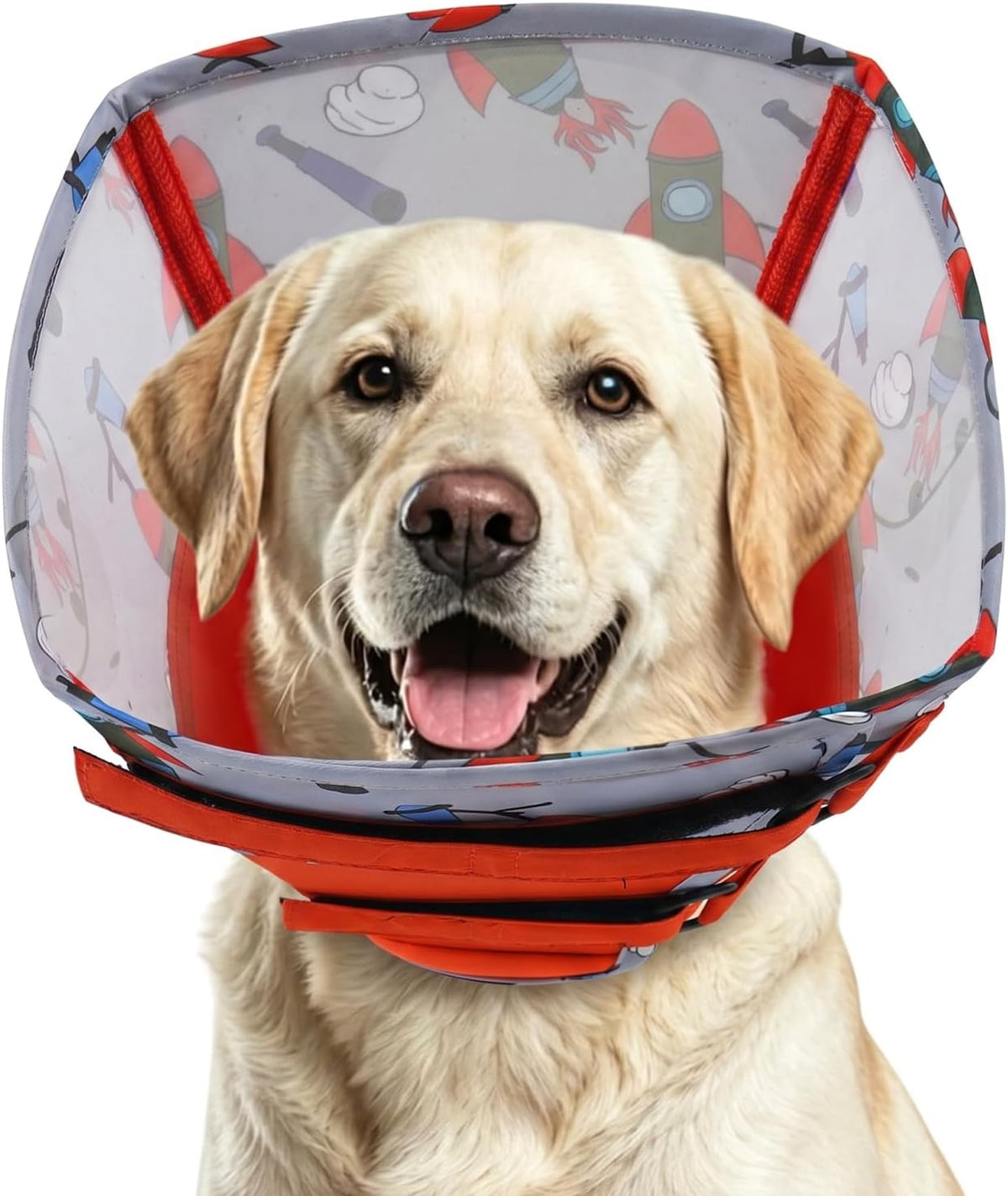 Dog Elizabethan Collar for Dogs with Durable Material