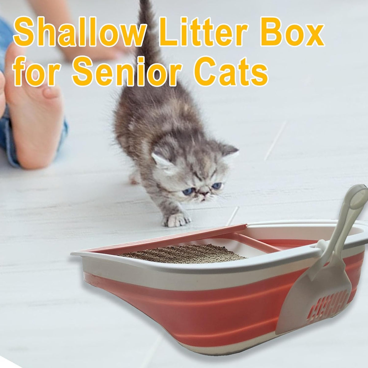 Low Entry Kitten Litter Box Collapsible Shallow Litter Box