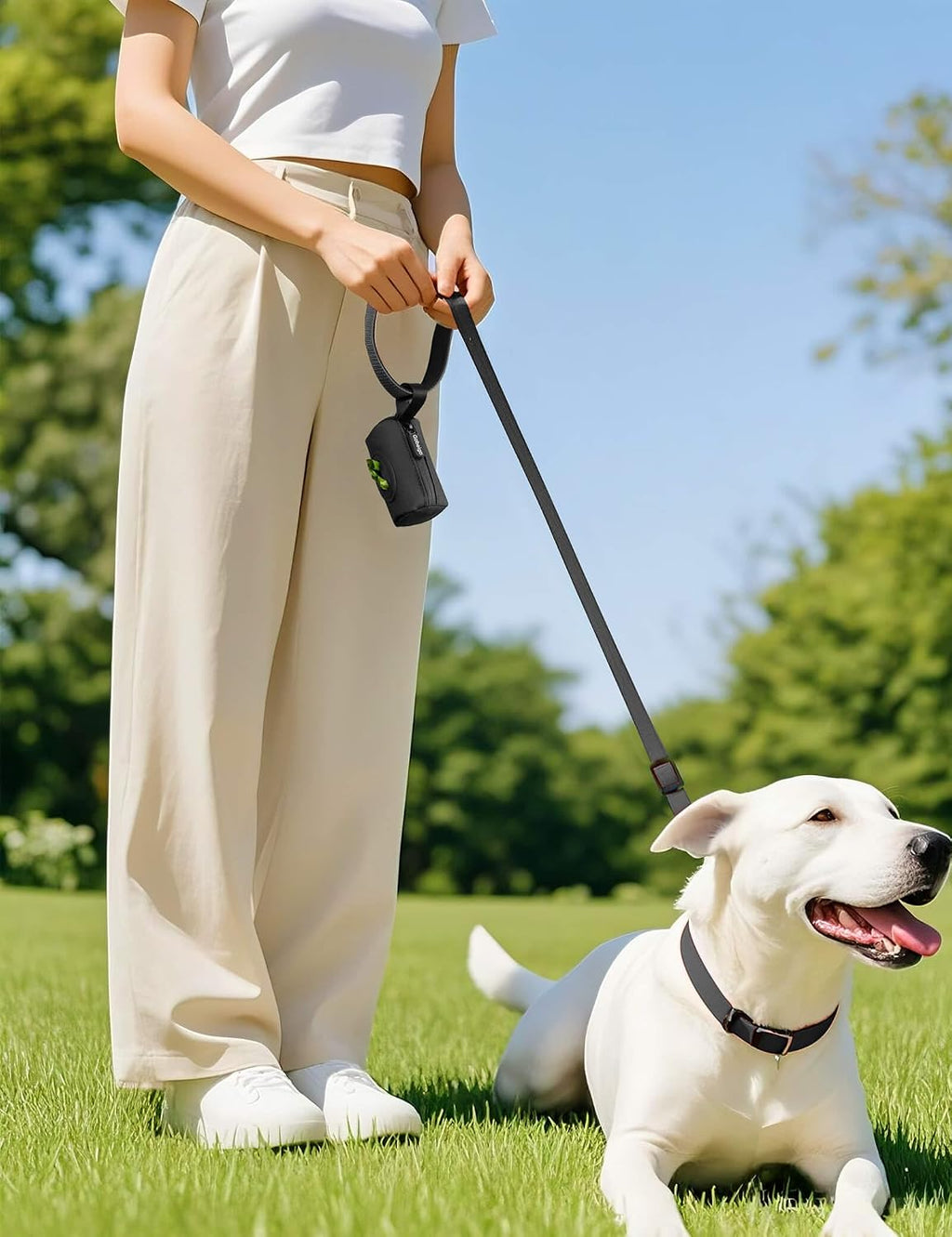 Gobeigo 2-in-1 Dog Poop Bag Holder【Easy Pull-Out Version】(Black) | Hard Plastic Insert & Soft Fabric Bag Snap-On Strap Dispenser Fits Retractable and Standard Leashes with 1 Roll Bags