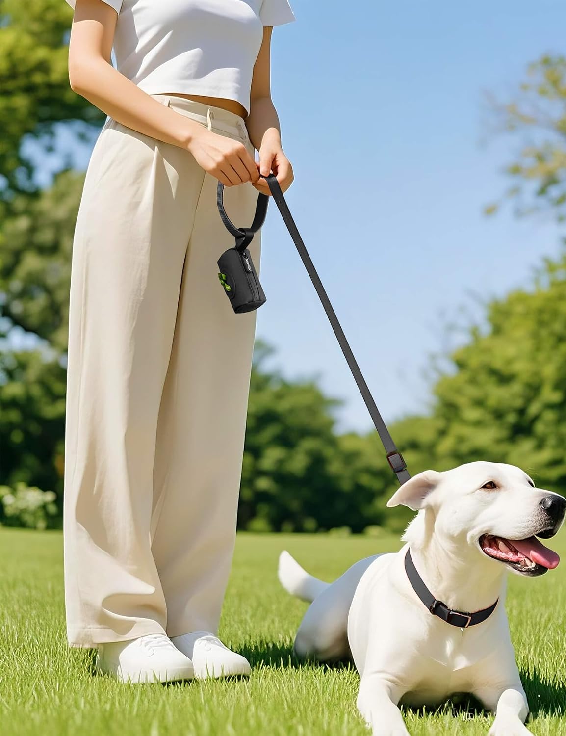 Gobeigo 2-in-1 Dog Poop Bag Holder【Easy Pull-Out Version】(Black) | Hard Plastic Insert & Soft Fabric Bag Snap-On Strap Dispenser Fits Retractable and Standard Leashes with 1 Roll Bags