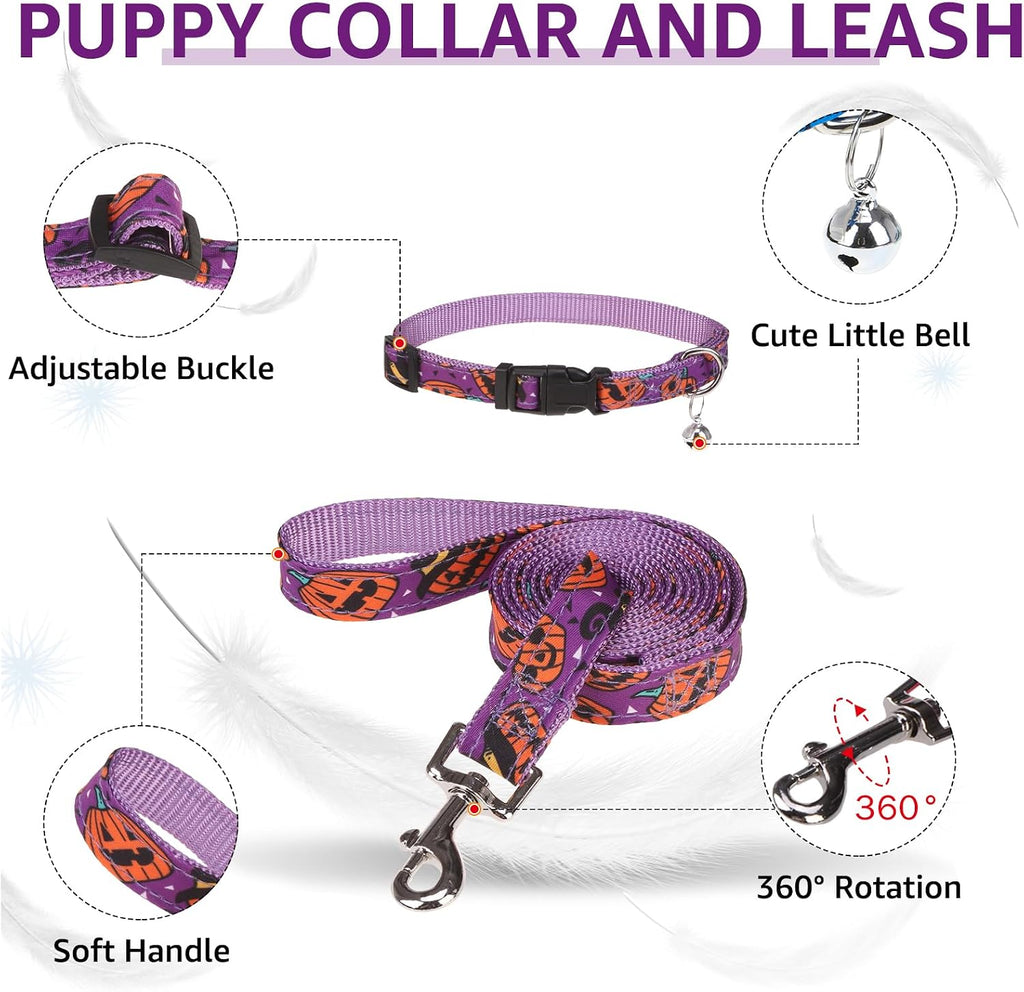 SCENEREAL Halloween Small Dog Harness Collar and Leash Set, Step-in No Pull