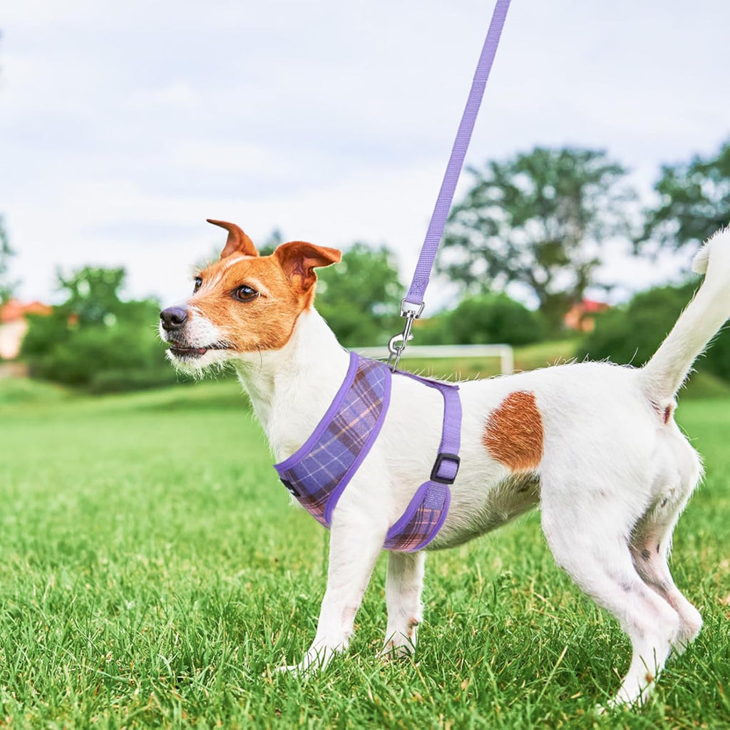 SCENEREAL No Pull Dog Harness with Leash Set for Small Dogs