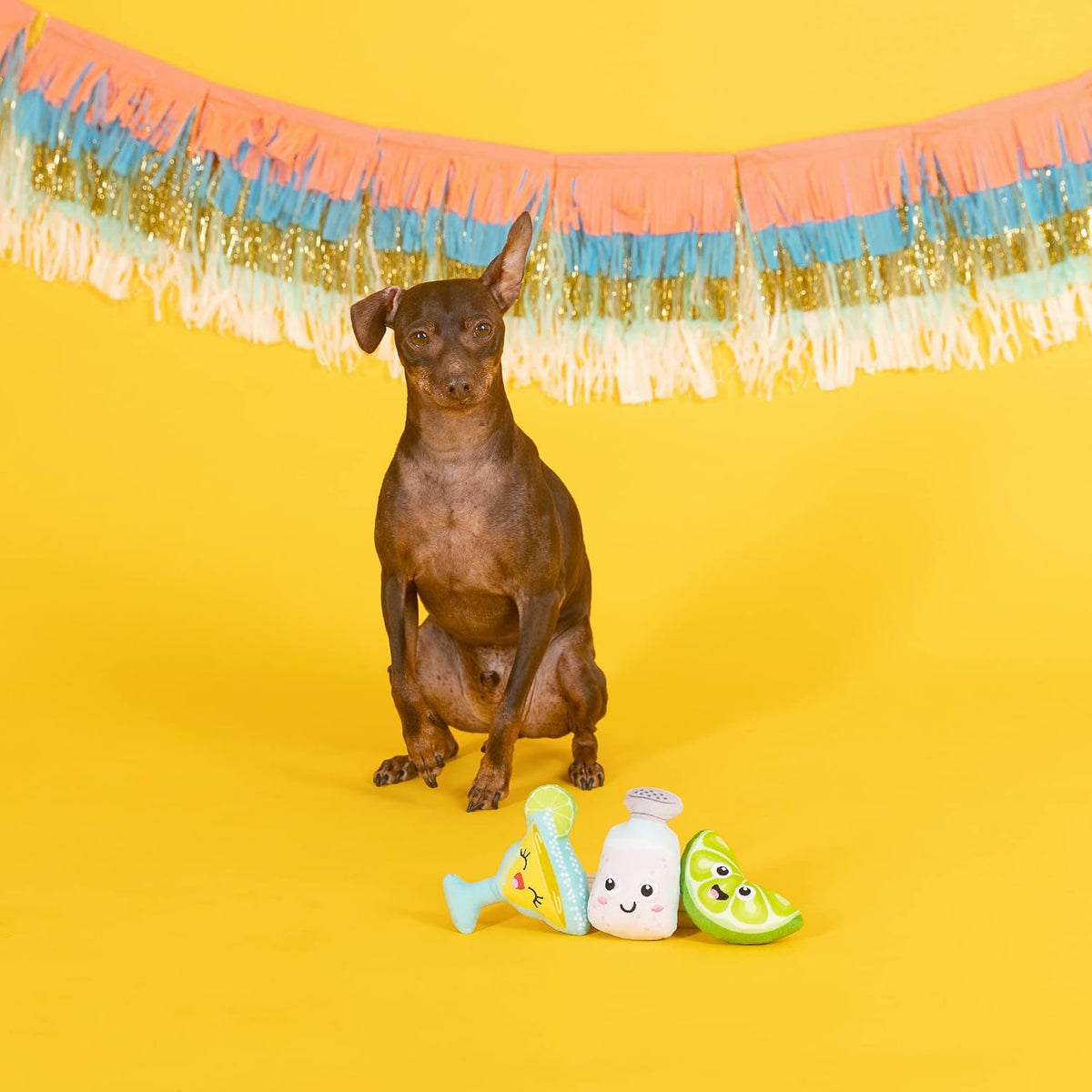 Fringe Studio Plush Dog Toy Set, ON Margarita TIME, 3 Piece Set for Dogs (289590), Multicolor, X-Small