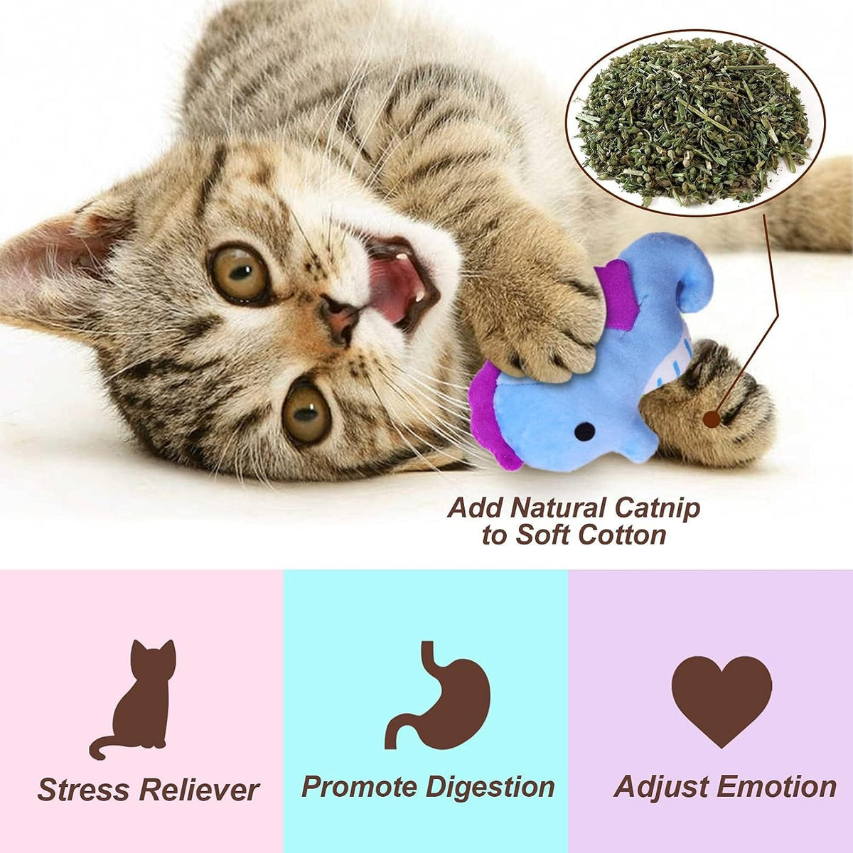 CiyvoLyeen Plush Sea Animal Catnip Toys for Indoor Cats 6 Pack