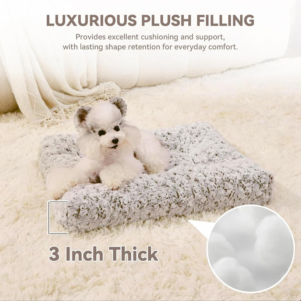 Small Dog Crate Bed Mat, Washable Plush Pad for Puppies & Cats