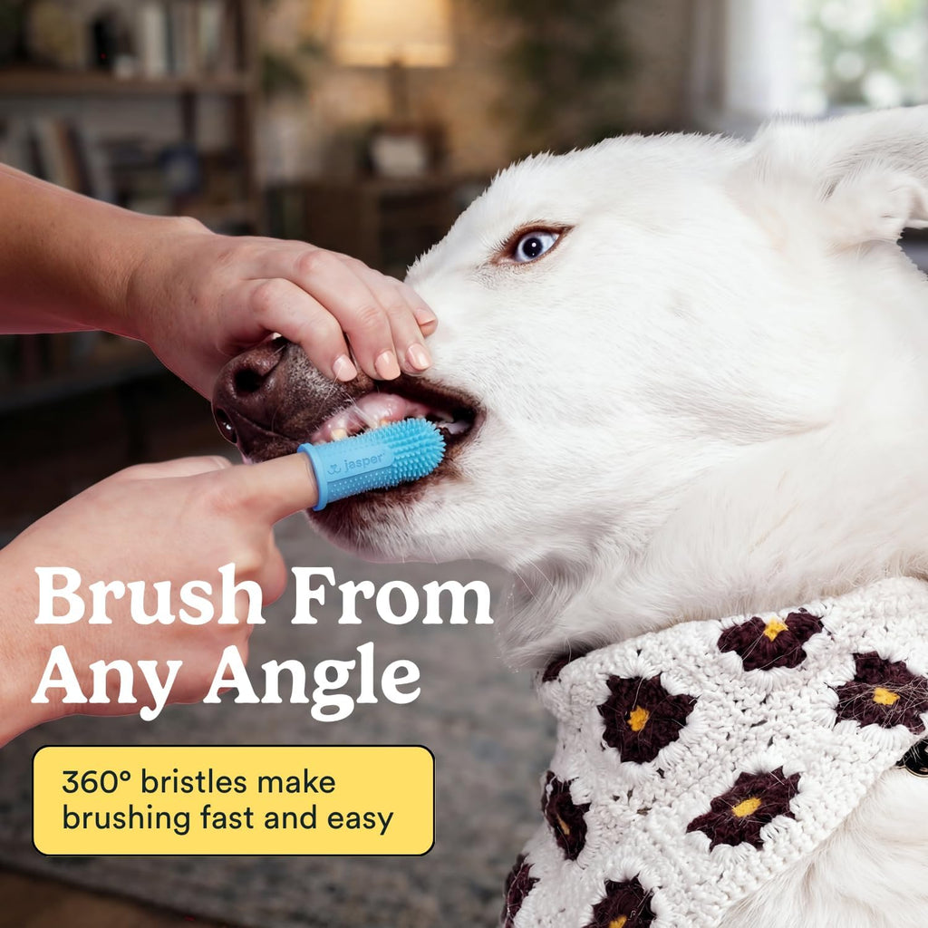 Jasper Dog Toothbrush, 360° Finger Toothbrush for Dogs & Cats, Blue 2-Pack | 12x More Bristles, Teeth Cleaning Kit for Small & Large Pets, Toothpaste Not Included, Fights Bad Breath, Extra Soft Silicone 