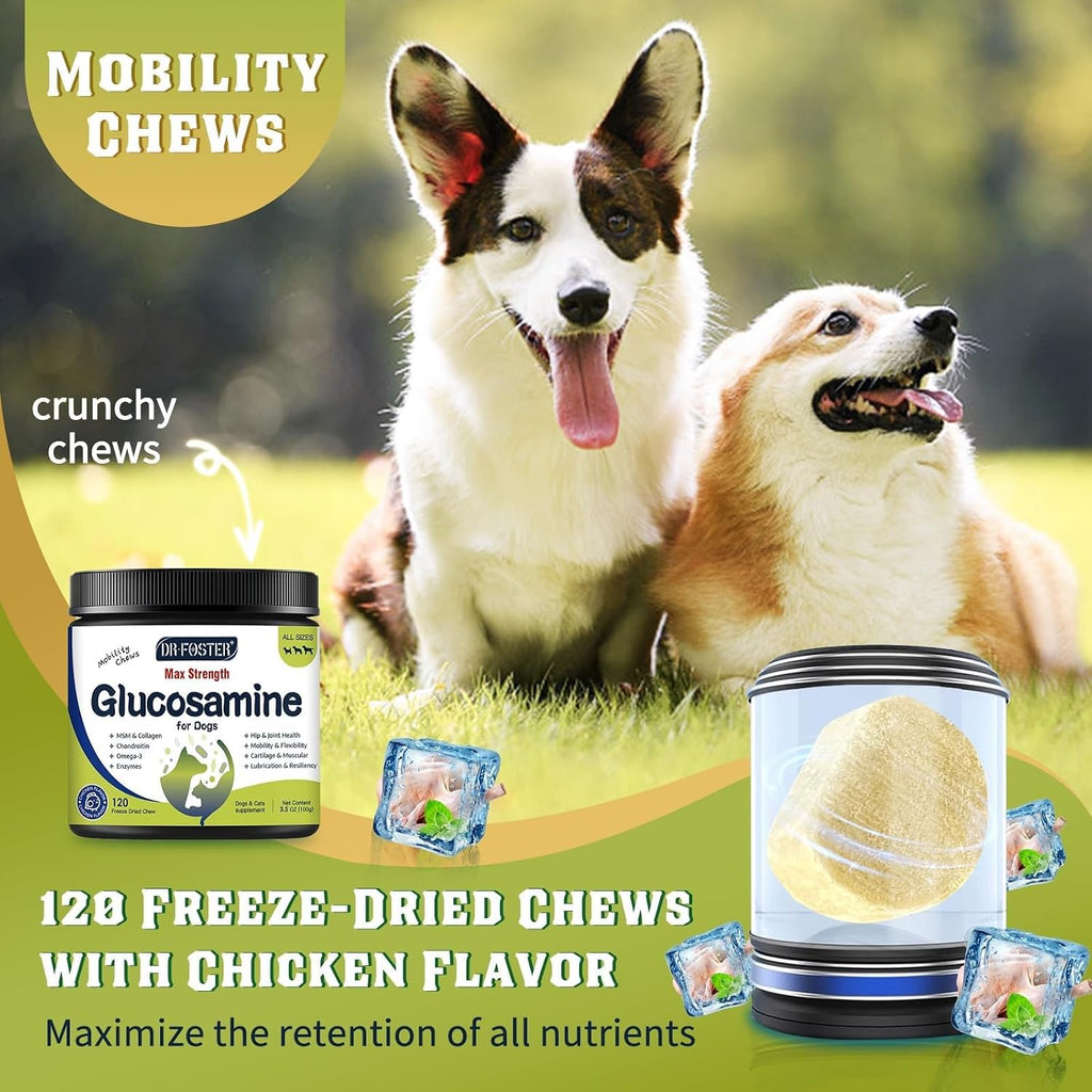 Dr. Foster Glucosamine Chondroitin for Dogs & Cats, Chicken, 120 Chews