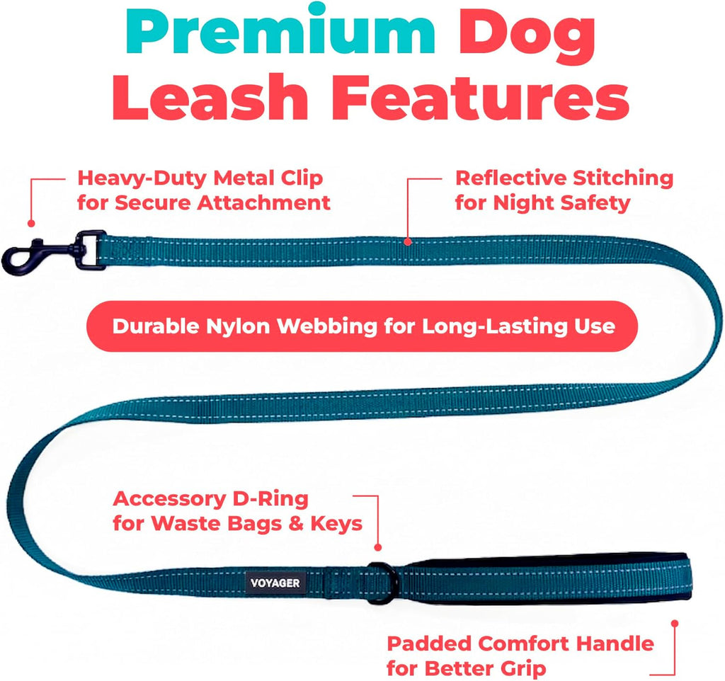 Best Pet Supplies Voyager Nylon Dog Leash - Blue, Small