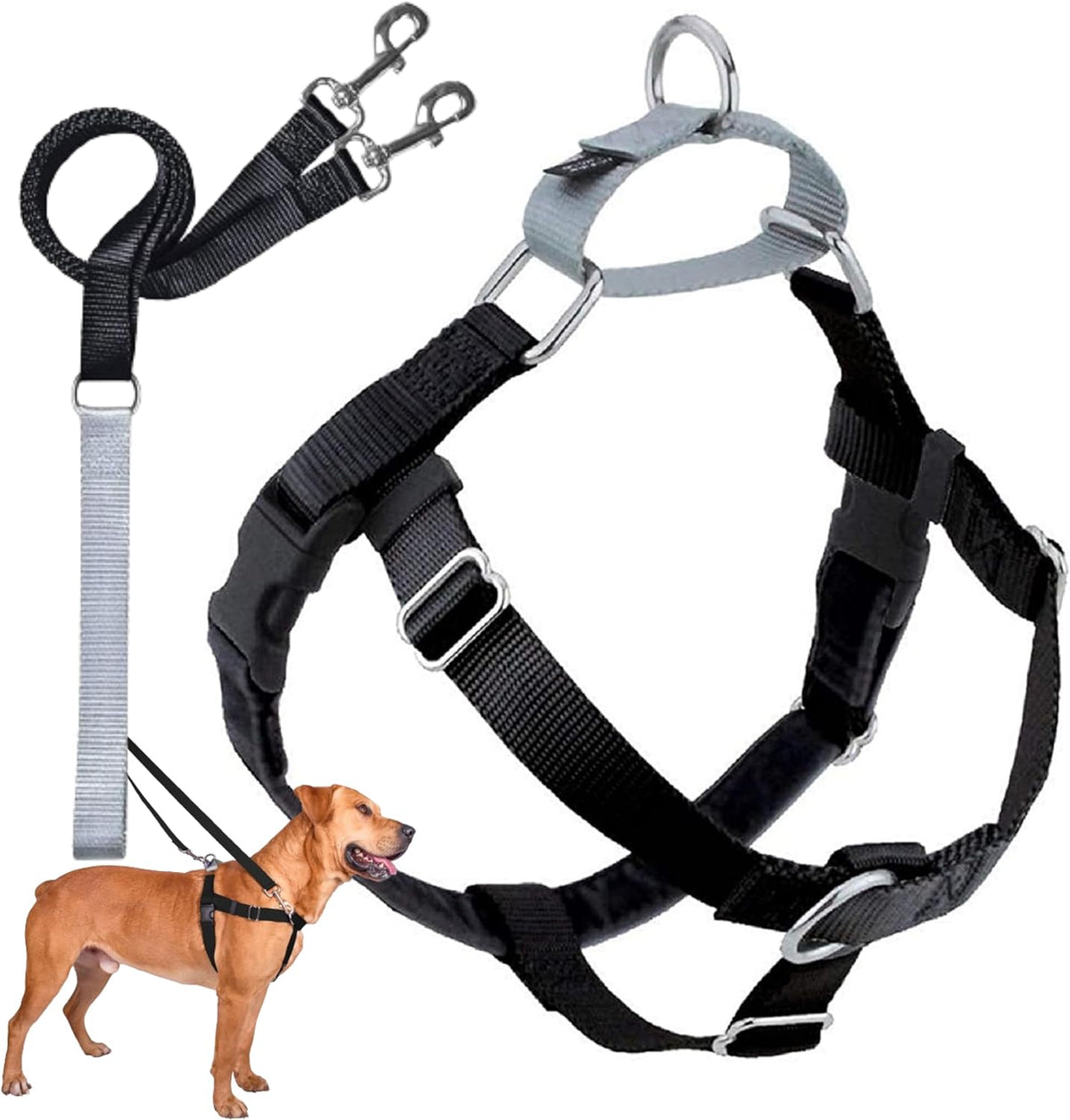 2 Hounds Design Freedom No Pull Dog Harness and Leash, 5/8" MD, Black