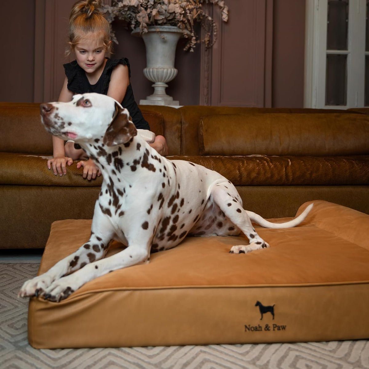 NOAH & PAW XL Dog Bed Orthopedic Memory Foam Cooling Gel 45x35x9.1 in