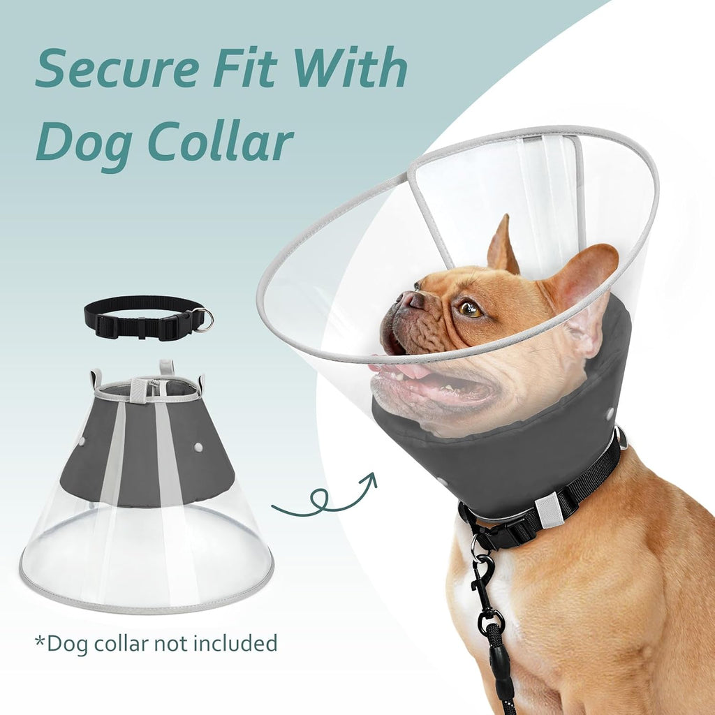 Dog Cone Collar with Snap-on Detachable Soft Liner, Lightweight Transparent Elizabethan Alternative to Stop Licking, for Spay Neuter Surgery Recovery, for Medium Large Small Dogs (Black,M)