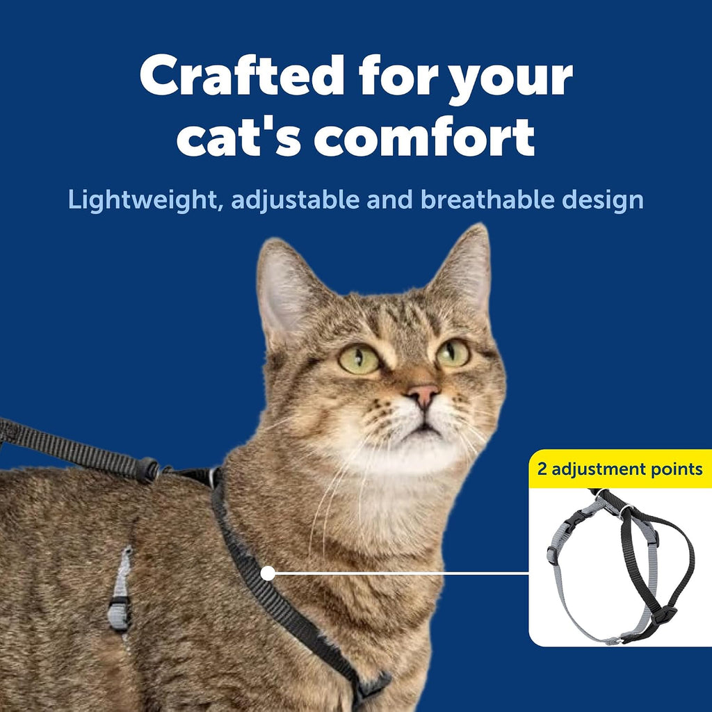 PetSafe Come with Me Kitty Harness and Bungee Cat Leash, Black, Small