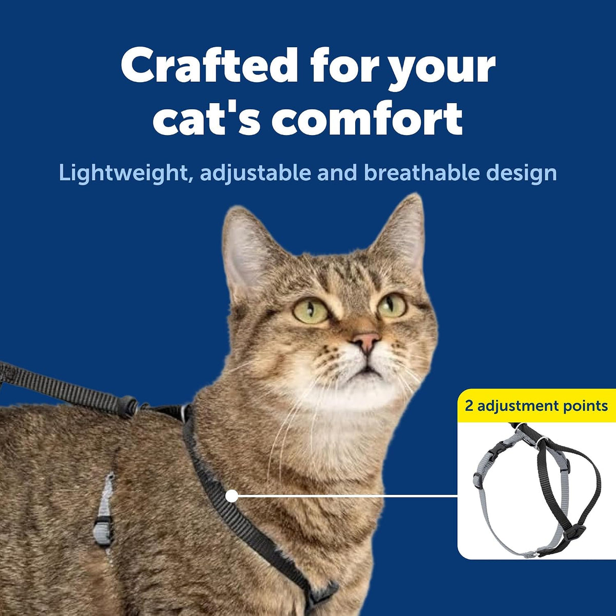 PetSafe Come with Me Kitty Harness and Bungee Cat Leash, Black, Small