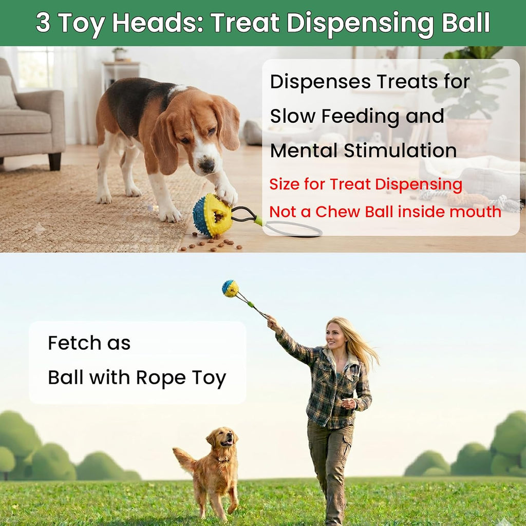 Dog Door Bungee Tug Toy, 4 Pieces, Small Medium Dogs 20 to 50lbs | 5ft Bungee Rope, Indoor & Outdoor Hanging, Tree Tether Rope for Yard, Spring Pole, Interactive, Tug of War, Ball