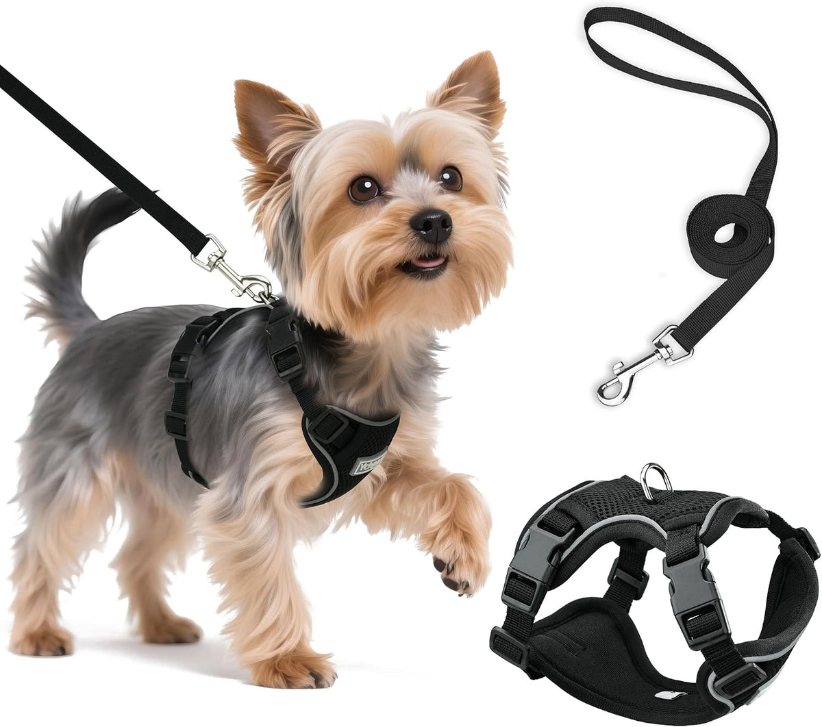 Small Dog Harness and Leash Set, Adjustable Small Sized Pet Vest