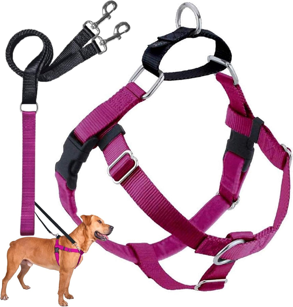 2 Hounds Design Freedom No Pull Dog Harness and Leash, 1" XXL, Raspberry