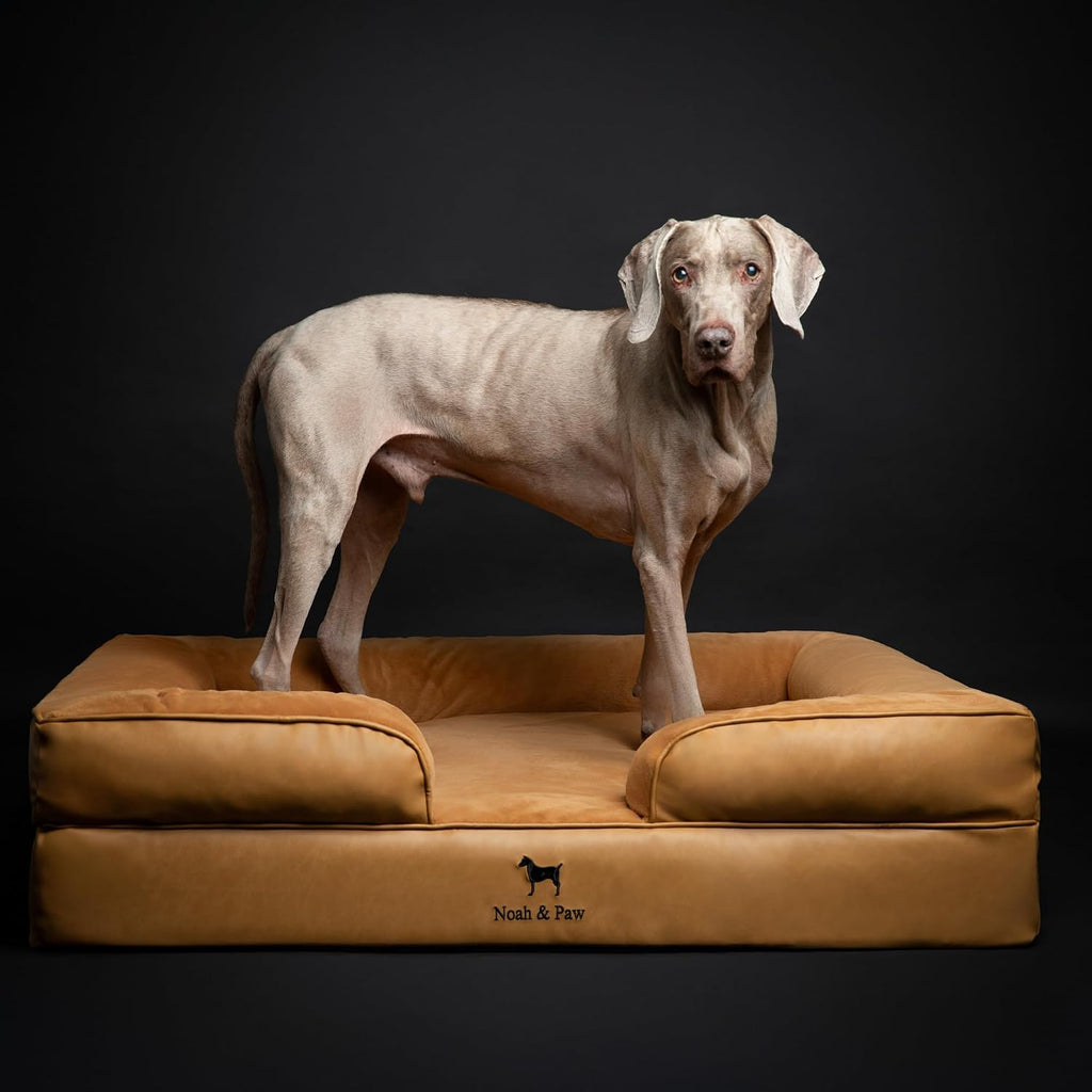 NOAH & PAW Large Dog Bed, Orthopedic Memory Cooling Foam (2X Base) 45x35x11