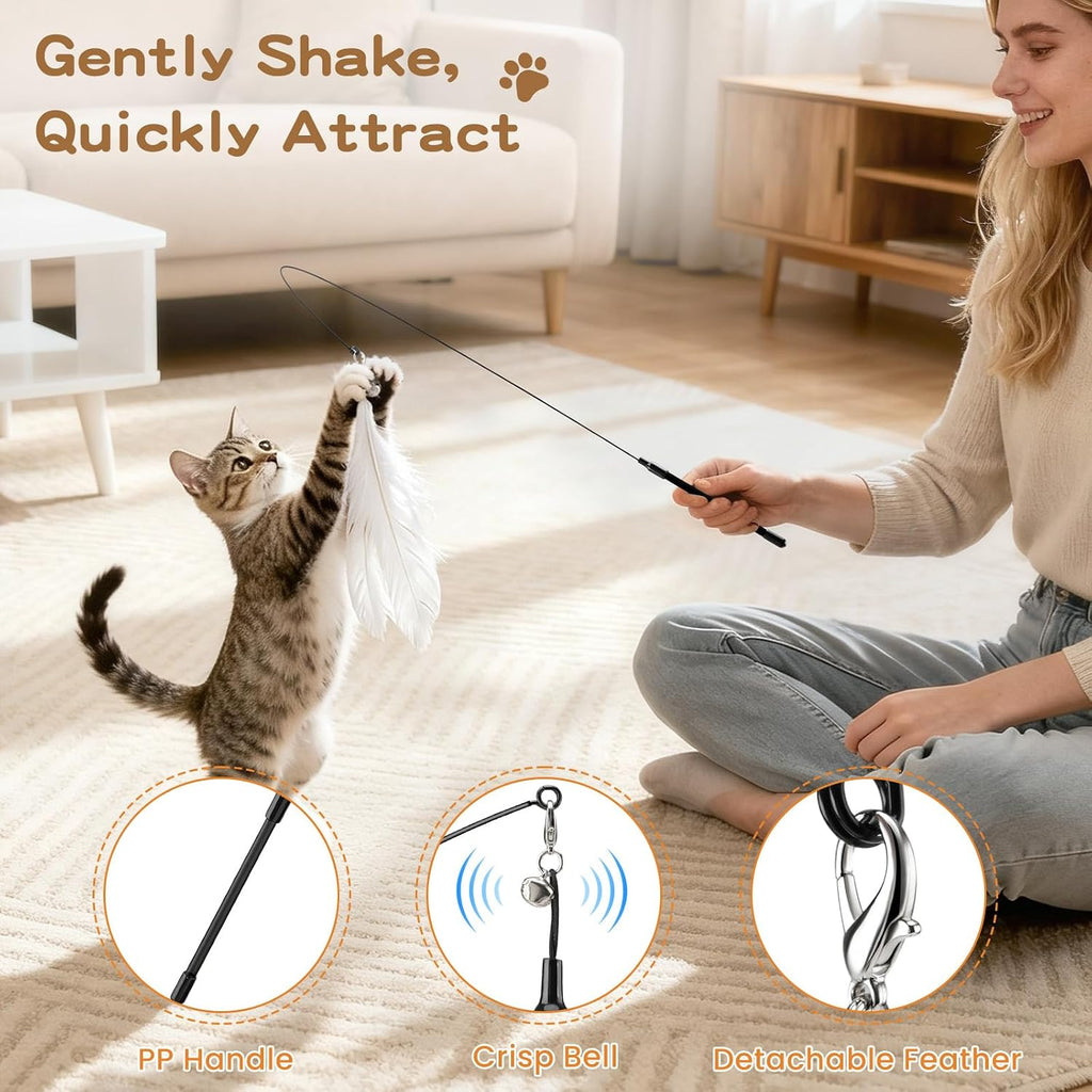 Pawaboo 6Pcs Cat Feather Wand Toy Set for Indoor Cats Self Play & Exercise